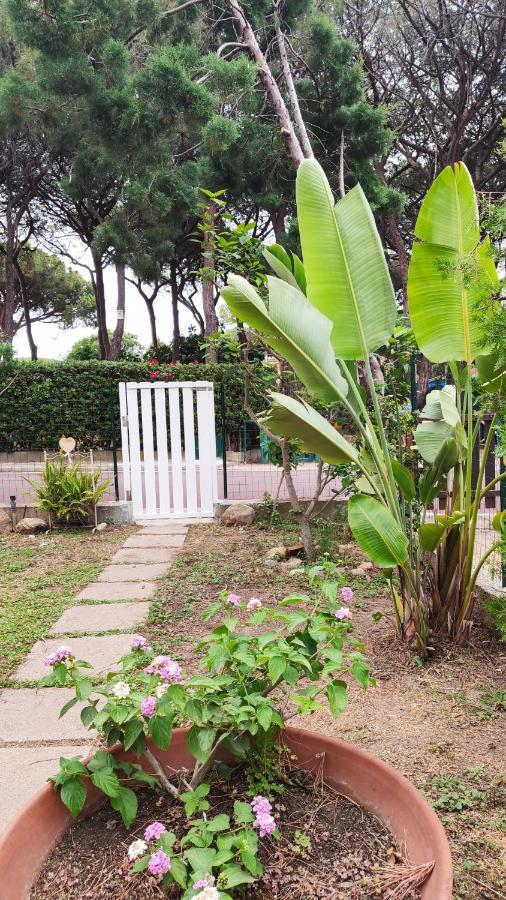 فيلا Villino Sunshine S8989 سانتا مارغريتا دي المظهر الخارجي الصورة